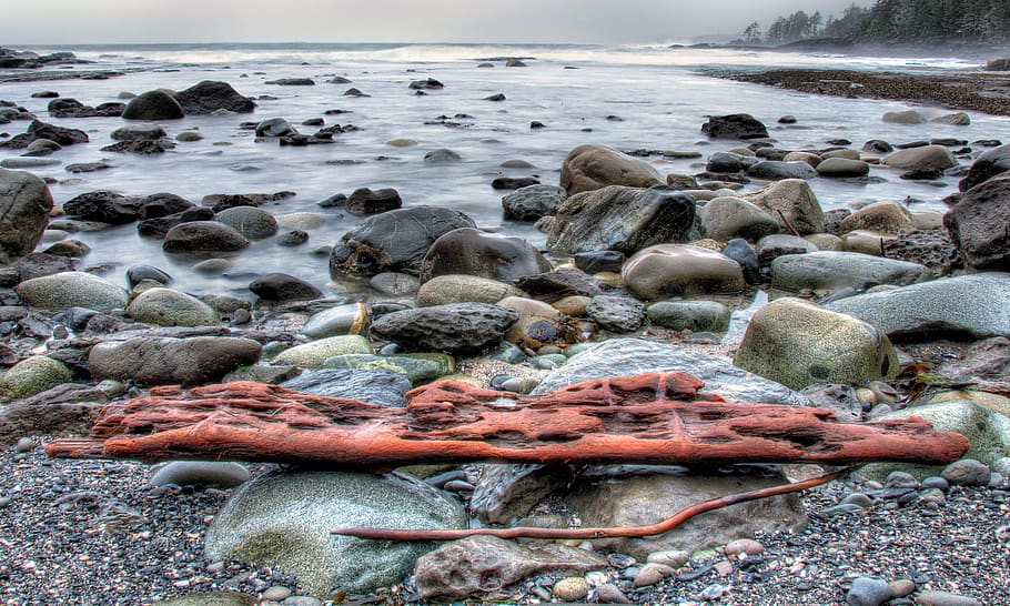 Drift Wood on Rack Near the Shore, beach, blue, boulders, clouds HD wallpaper