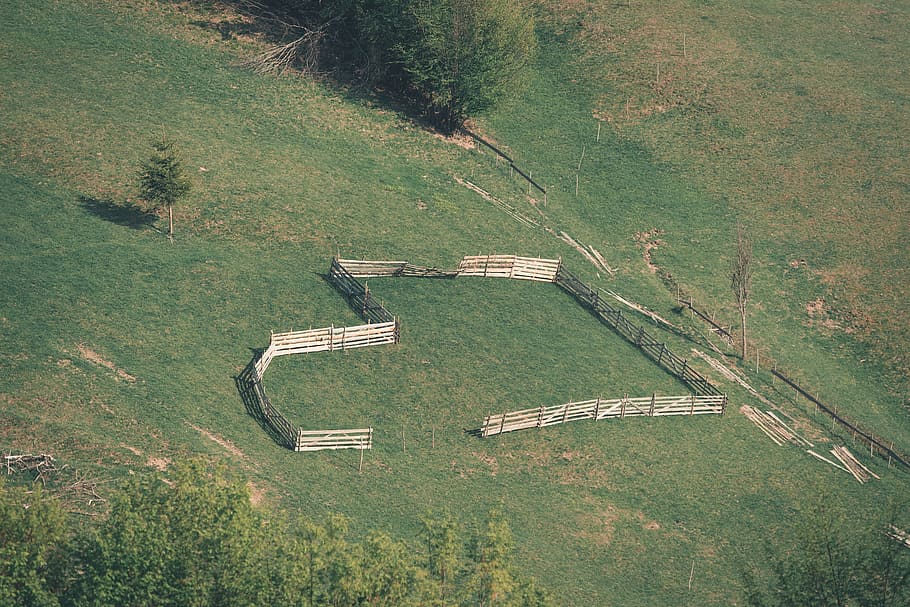 romania, bucium, tree, trees, fence, math, hill, sun, sunshine HD wallpaper