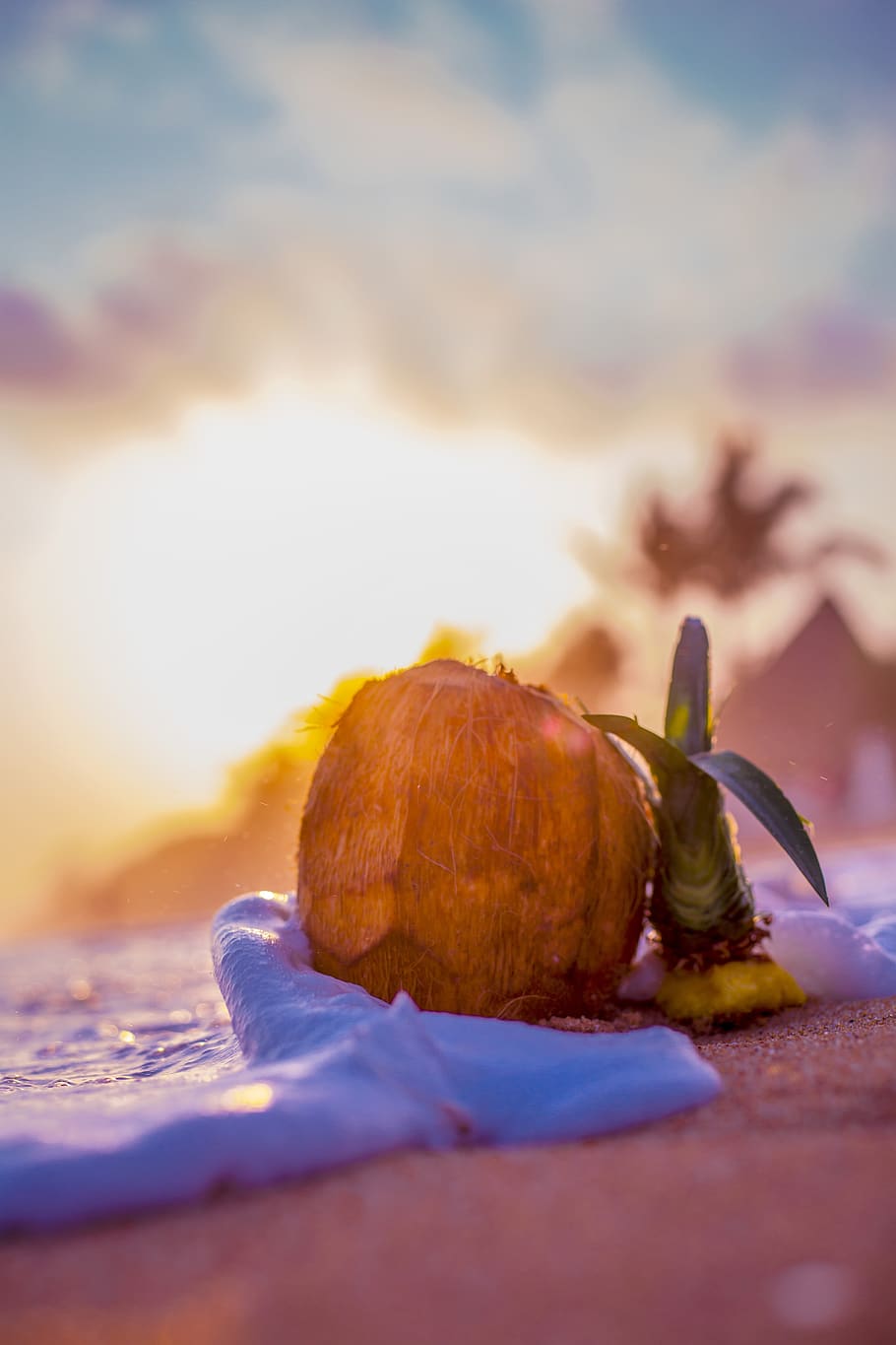 beach, sand, coconut, pineapple, exotic, wave, sunset, composition HD wallpaper