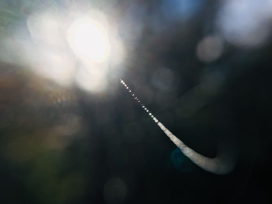 white and black plastic container, nature, lens flare, sky, day HD wallpaper