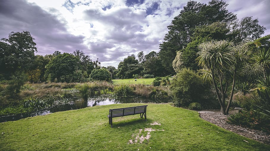 melbourne, australia, tan track, chair, lake, land, vic, tree, HD wallpaper