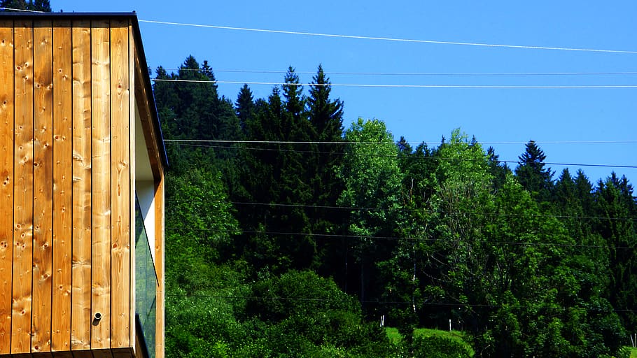 austria, schladming, plant, tree, electricity, nature, sky HD wallpaper
