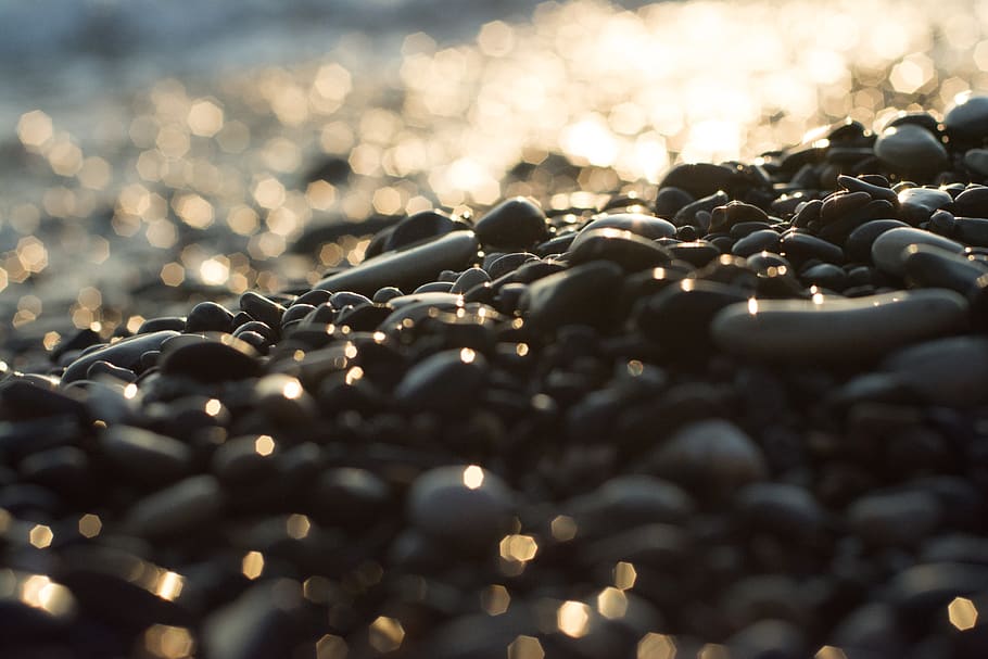 sea, evening, wave, gold, beach, water, selective focus, no people HD wallpaper