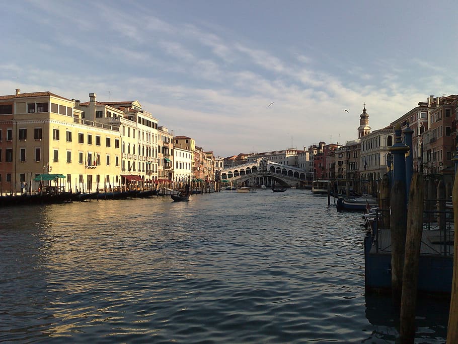 rialto bridge, italy, venezia, canale grande, venice, architecture, HD wallpaper
