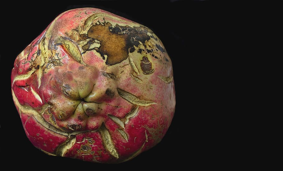 pomegranate, red, plans, embossed, fruit, decoration, background HD wallpaper