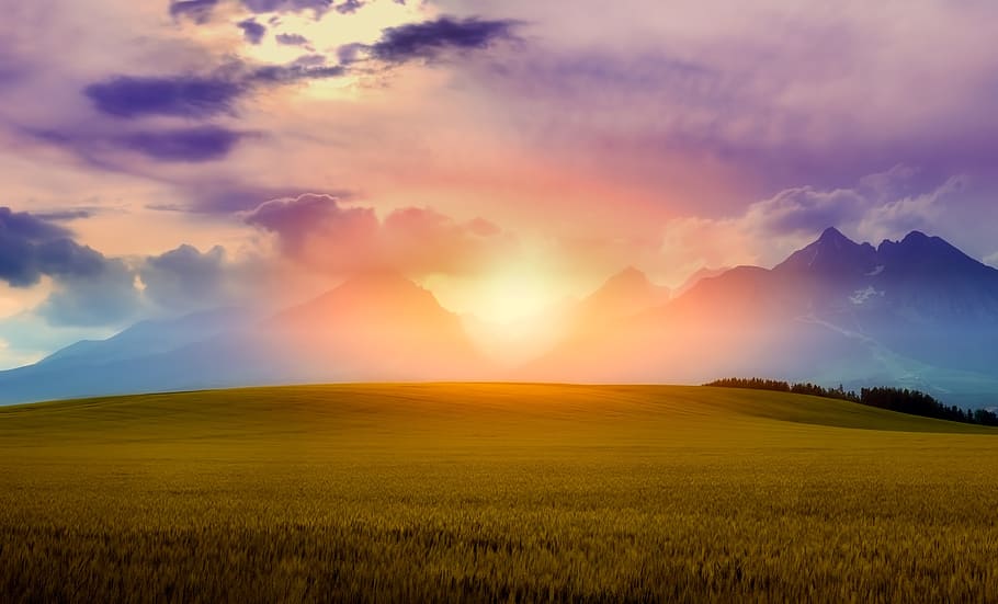Silhouette Photography of Grass Field Near Mountain, bright, clouds HD wallpaper