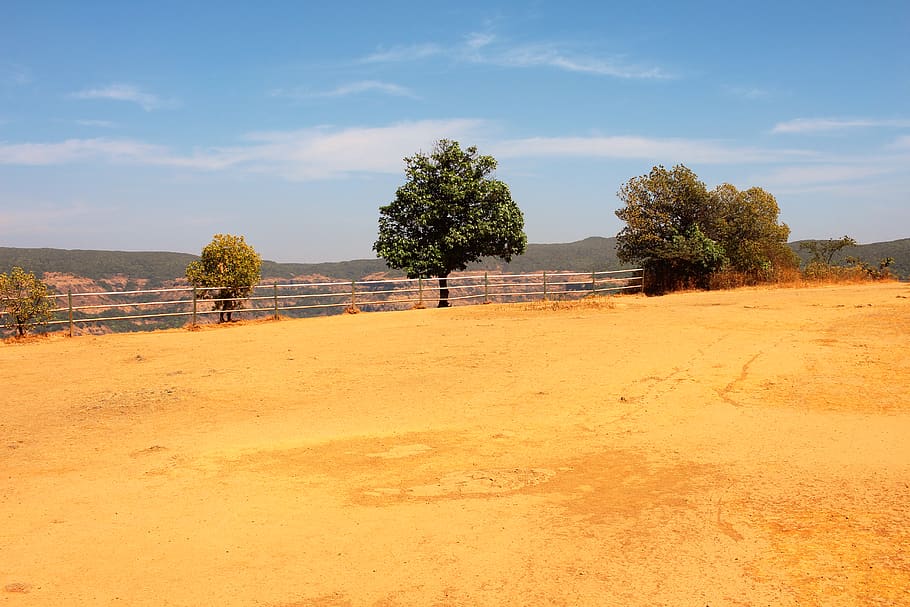 india, tree, landscape, background, nature, sky, plant, tranquility HD wallpaper