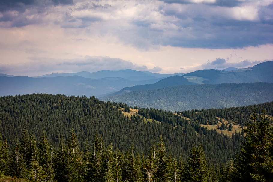 ukraine, hoverla, scenics - nature, beauty in nature, mountain HD wallpaper