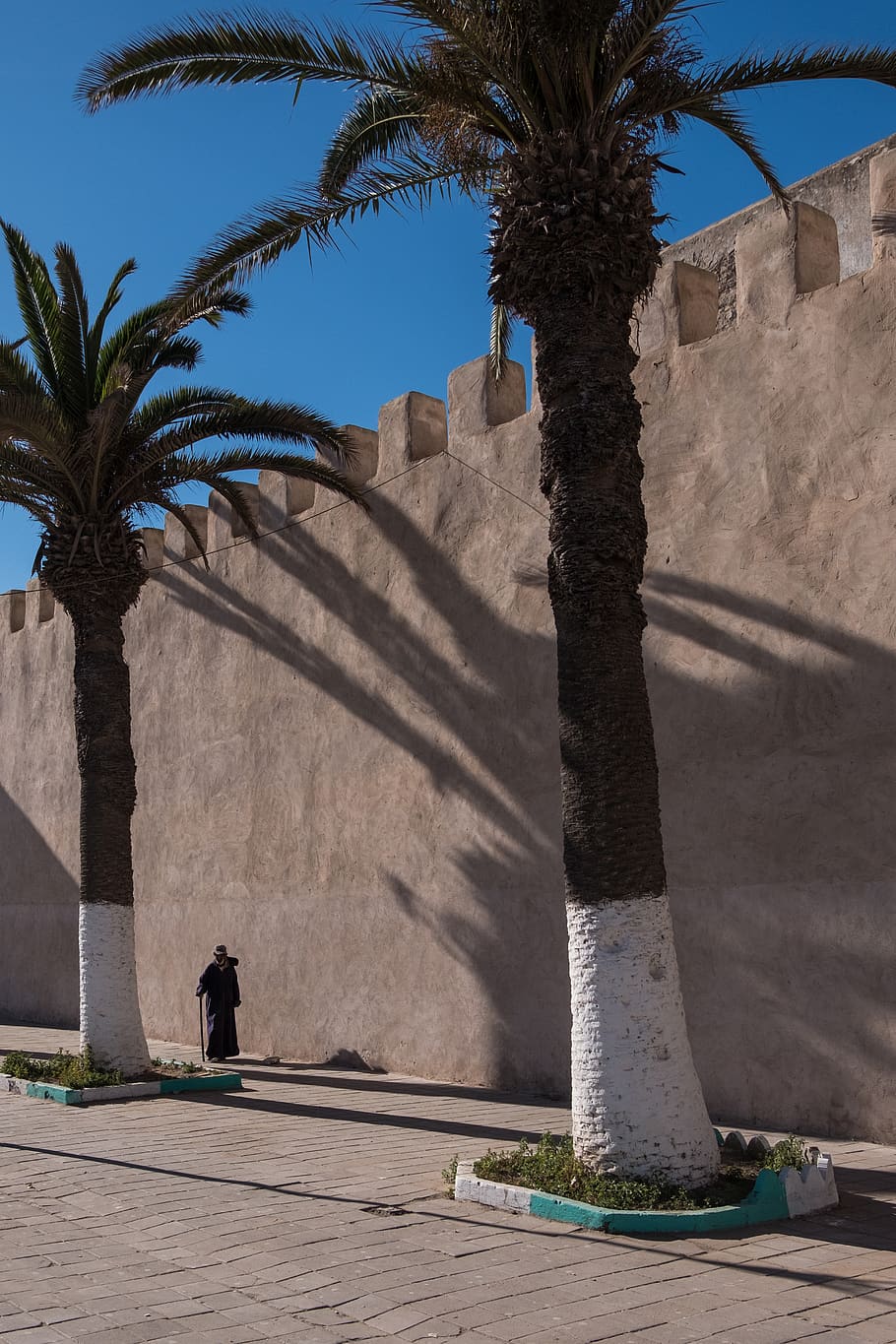 plant, tree, palm tree, arecaceae, human, person, wall, morocco HD wallpaper