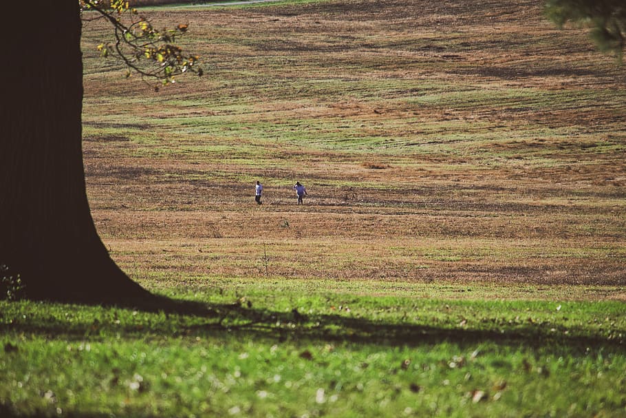 lost, people, explore, nature, field, grass, land, plant, real people HD wallpaper