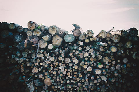 Wood log pile, aging, bark, branch, brown, construction, cracked HD wallpaper