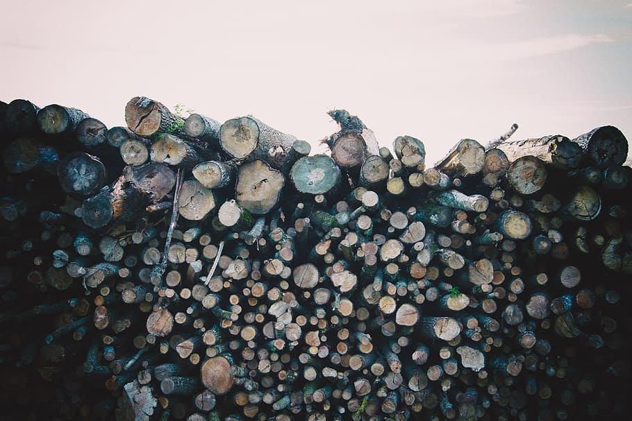 Wood log pile, aging, bark, branch, brown, construction, cracked