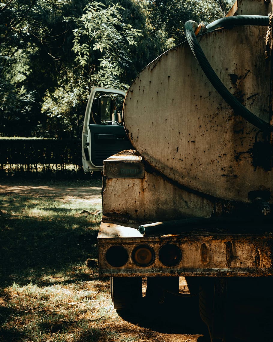 rust, plant, agua, tanque, pipa, bosque, tree, tire, vegetation HD wallpaper