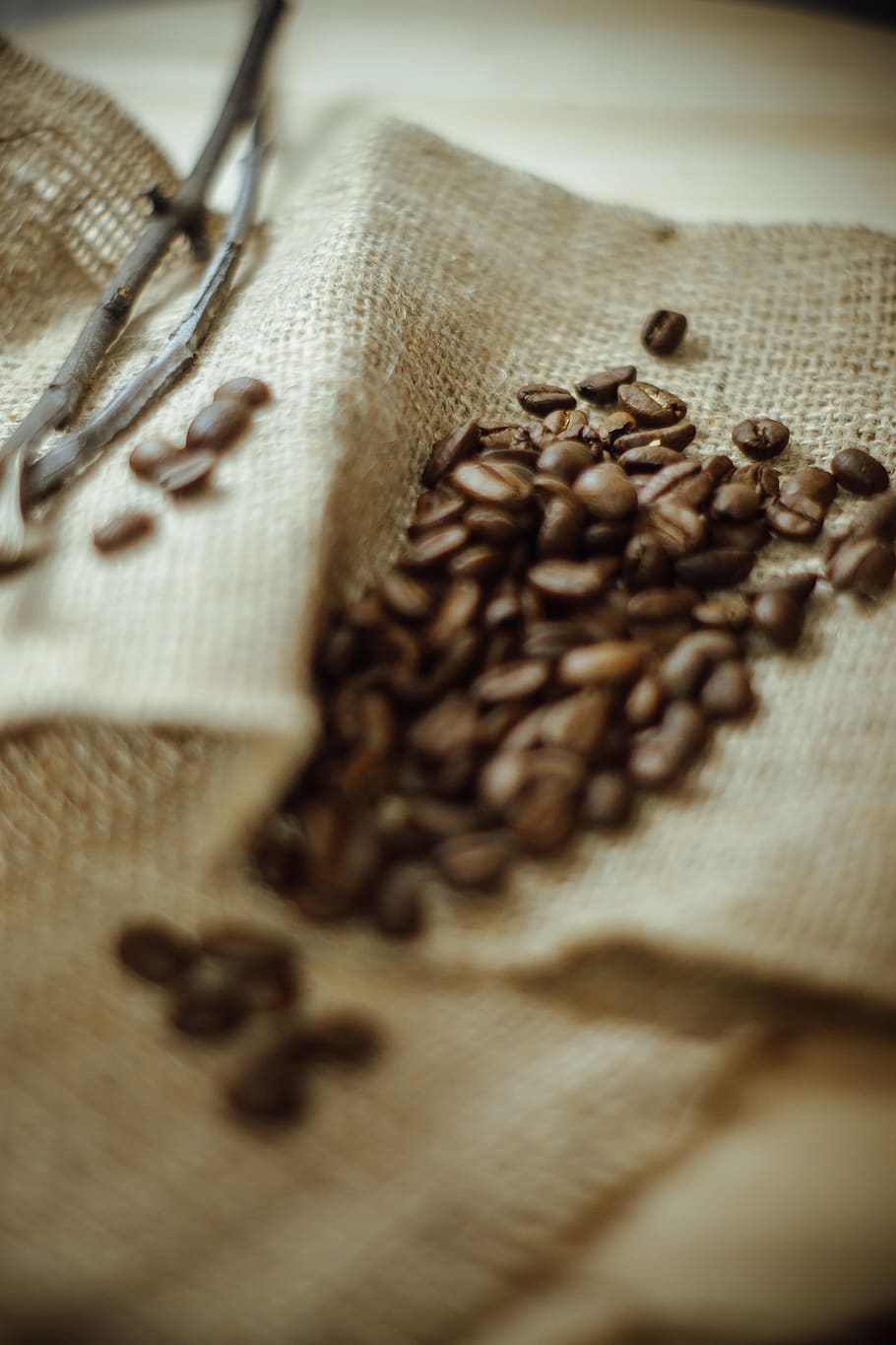 coffee beans on cloth, bag, sack, home decor, plant, linen, pet HD wallpaper