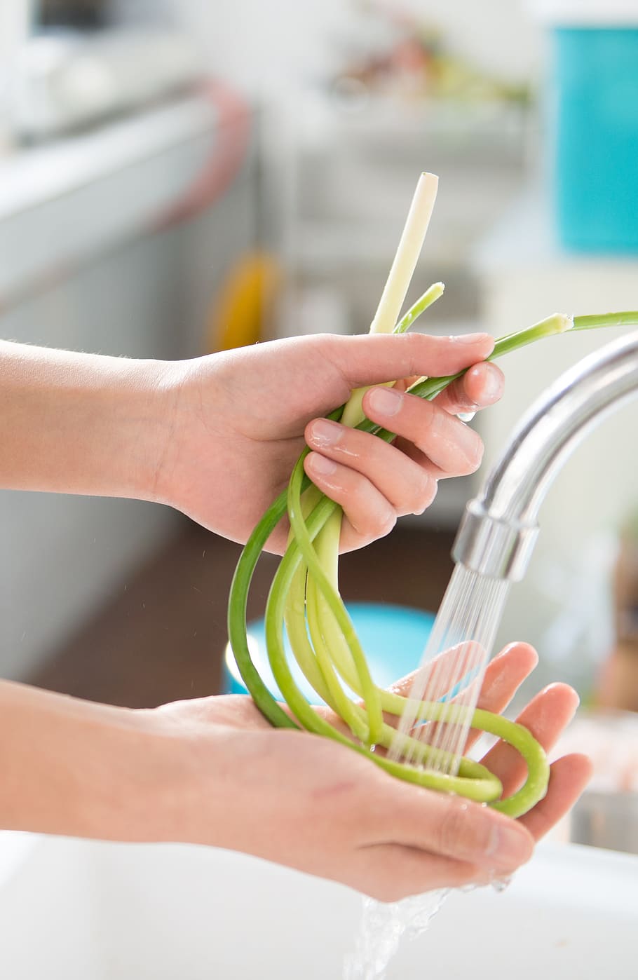 Person Holding Green Vegetable, clean, cleaning, cooking, faucet