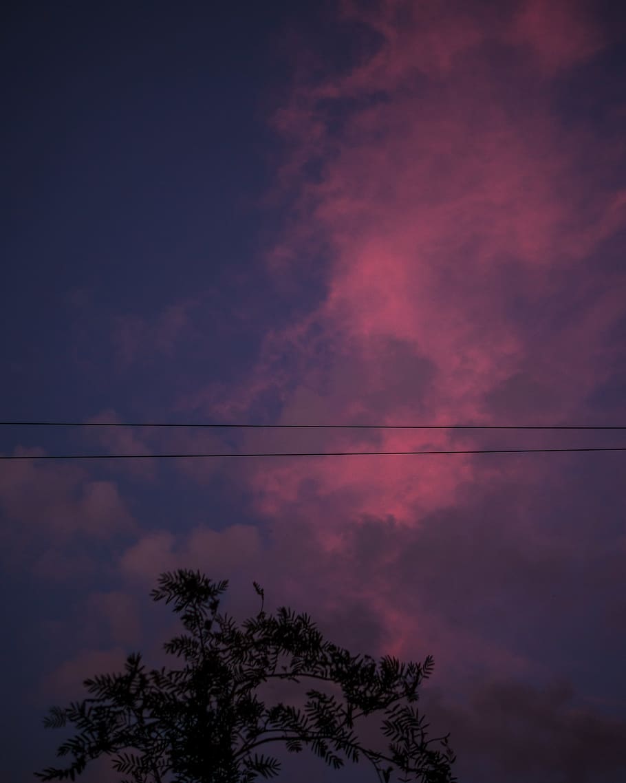 latvia, riga, sky, cloud - sky, tree, beauty in nature, cable HD wallpaper