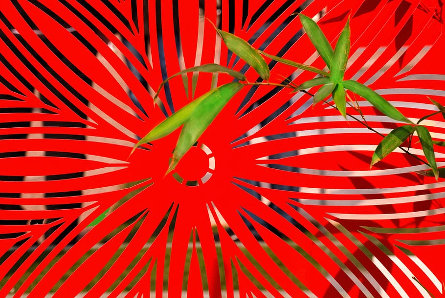 rouge, vert, bambou, claustra, graphisme, red, plant, growth HD wallpaper