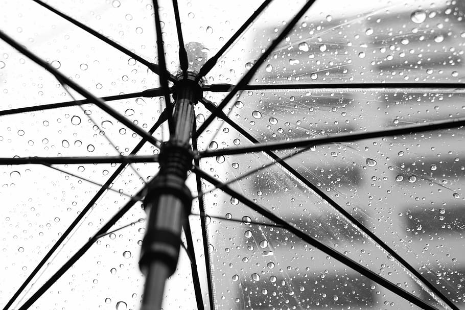 rain, wet, water, drop, full frame, no people, umbrella, backgrounds HD wallpaper