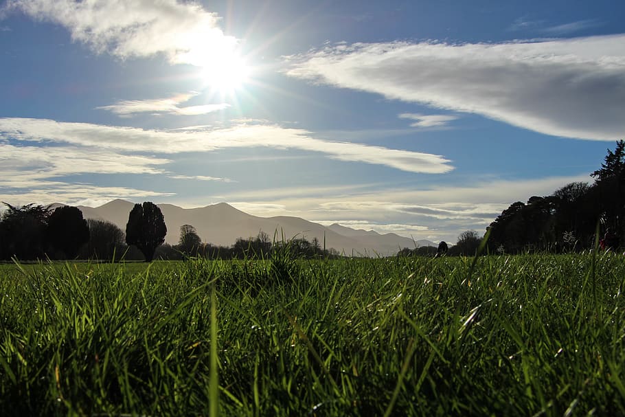 ireland, killarney, sun, grass, sky, mountains, plant, cloud - sky HD wallpaper