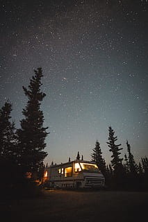 lighted white recreational vehicle into the woods, van, tree HD wallpaper
