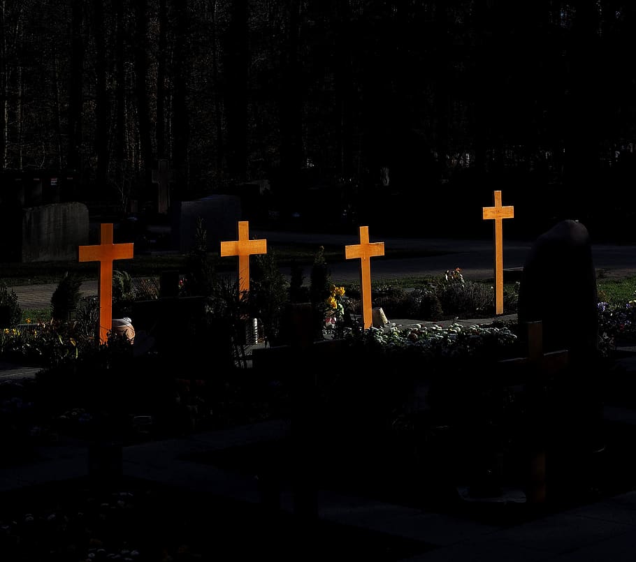 cemetery, crosses, graves, woodland cemetery, forest cemetery beautiful book, HD wallpaper