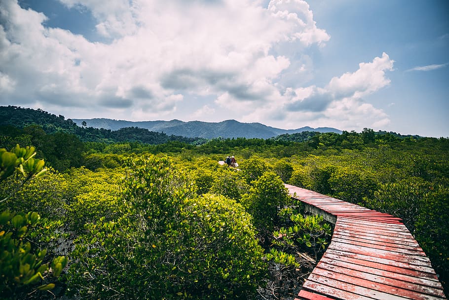Red Wooden Dock, clouds, country, daylight, forest, green, landscape HD wallpaper