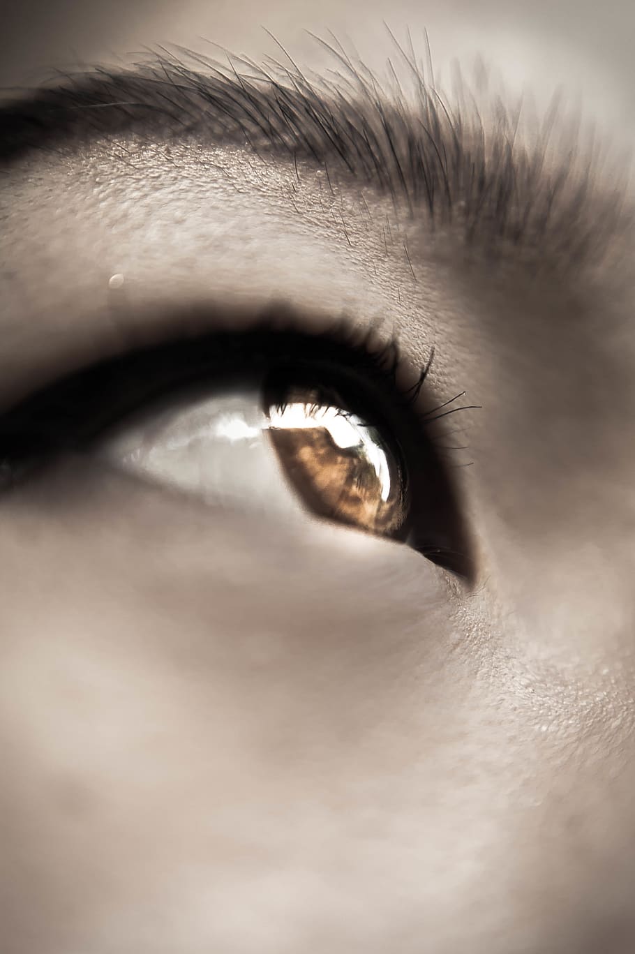 eye, human eye, eyesight, sensory perception, body part, human body part HD wallpaper