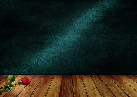rose, space, wood, wall, flower, lighting, background, empty HD wallpaper