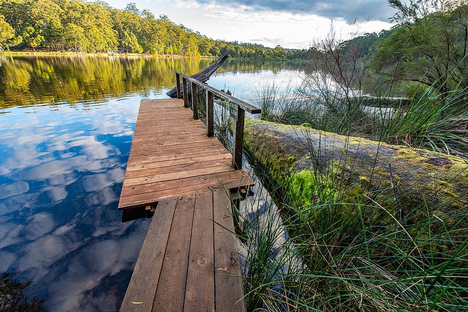 lake, trees, water, wood - material, tranquility, scenics - nature HD wallpaper