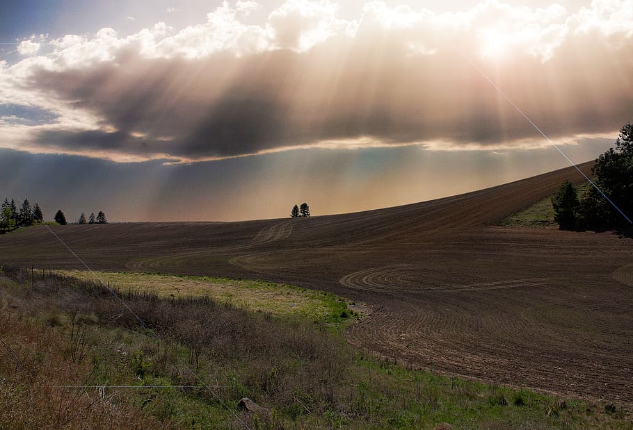 cloud - sky, beauty in nature, land, landscape, plant, environment HD wallpaper