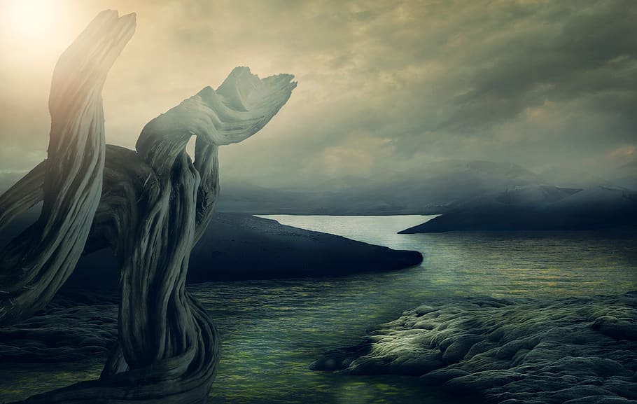background, fantasy, tree, moss, mountains, volcanic landscape HD wallpaper