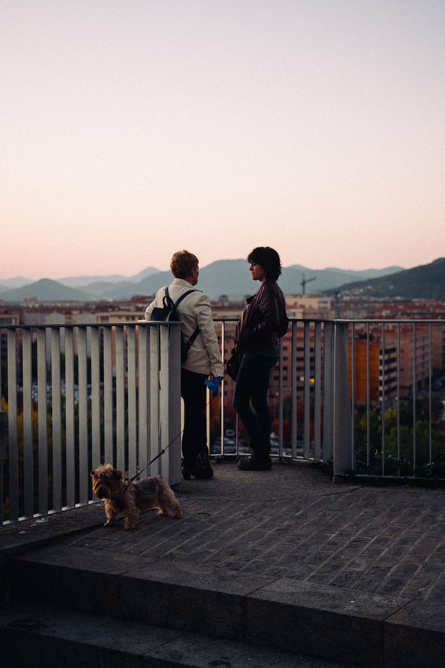 two men talking, sky, real people, one animal, mammal, pets, lifestyles HD wallpaper