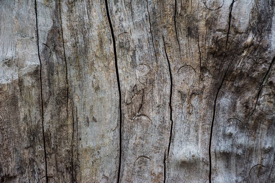 textured, backgrounds, full frame, wood - material, pattern HD wallpaper