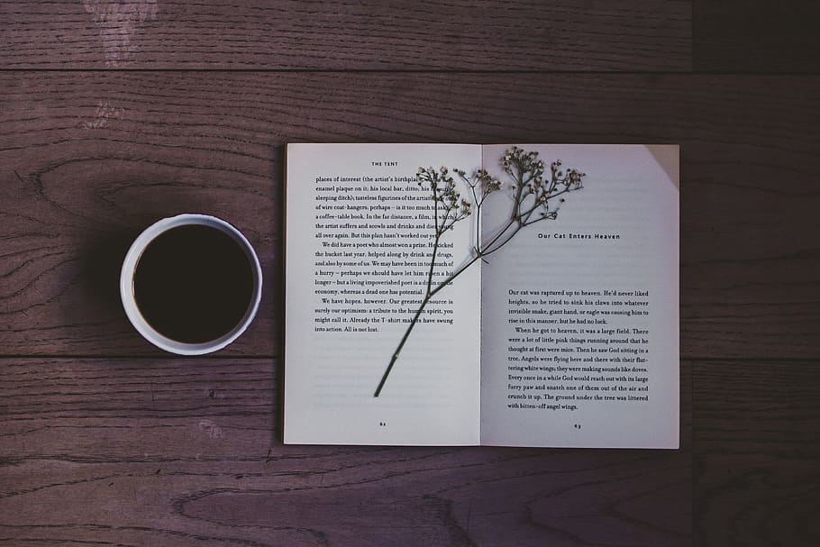 white book on wood, cup, flower, pages, coffee, drink, beverage, HD wallpaper