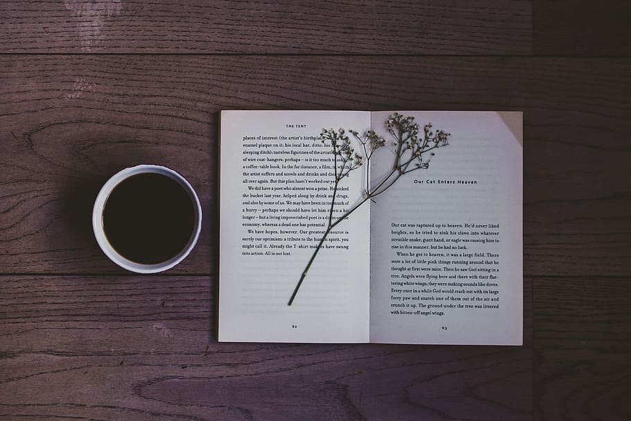 white book on wood, cup, flower, pages, coffee, drink, beverage HD wallpaper