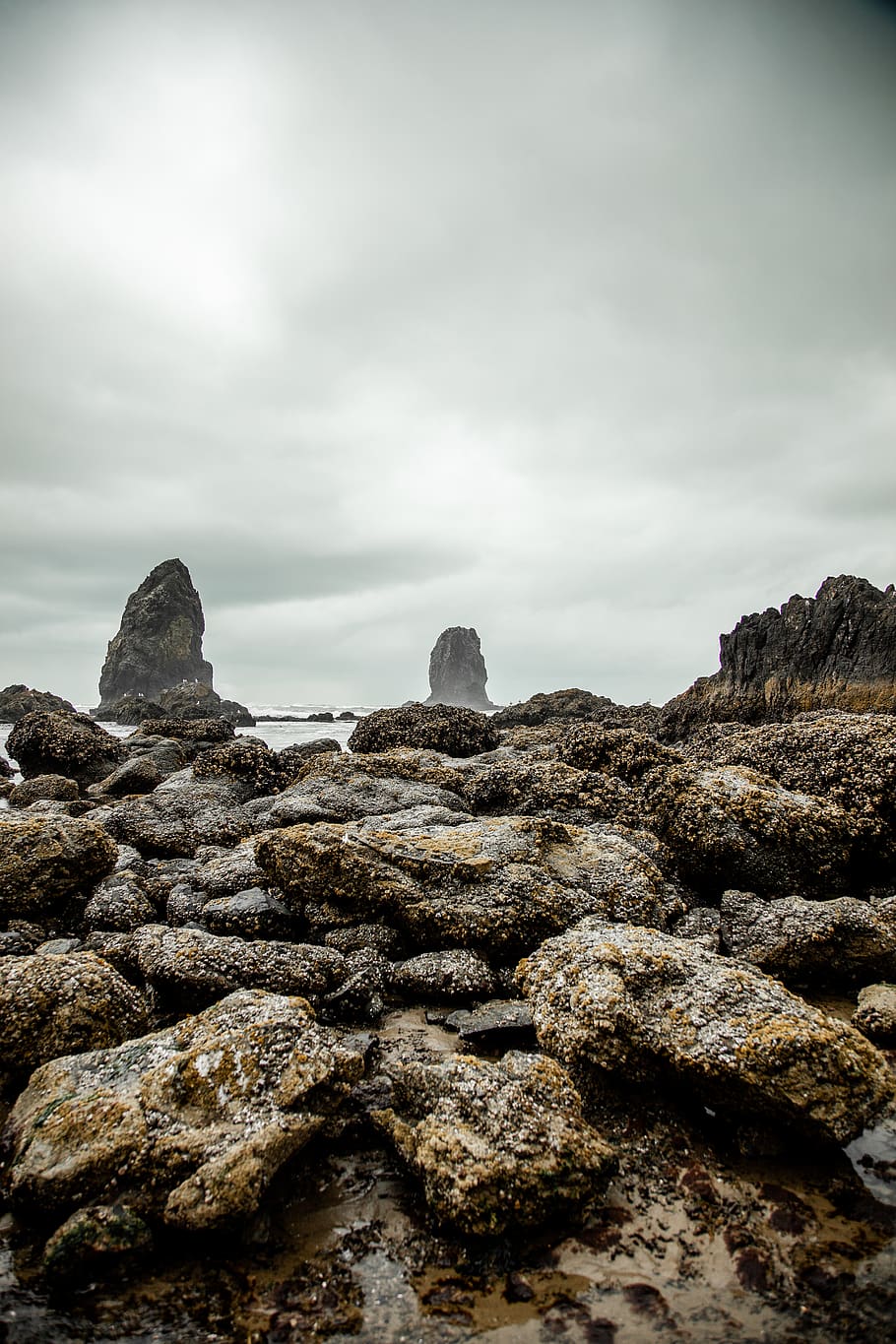 rocky shore, cloud - sky, rock - object, solid, nature, sea, tranquility HD wallpaper