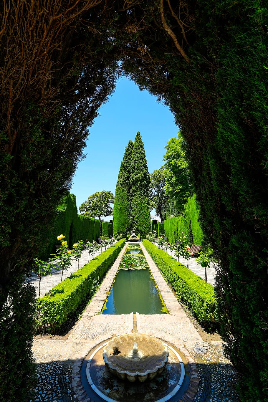 spain, granada, alhambra, plant, tree, water, garden, nature HD wallpaper