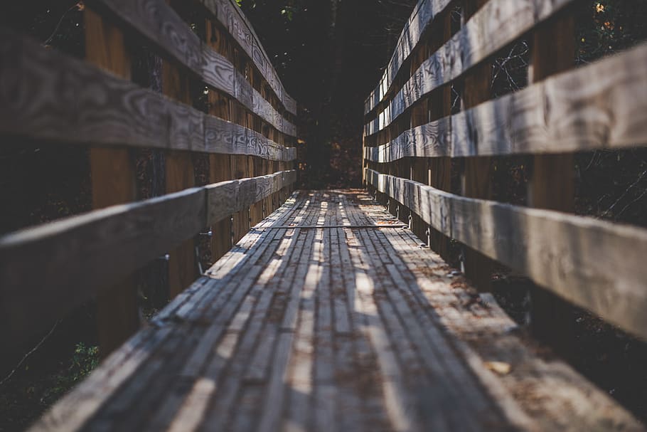 path, wooden, forest, tree, bridge, architecture, diminishing perspective HD wallpaper