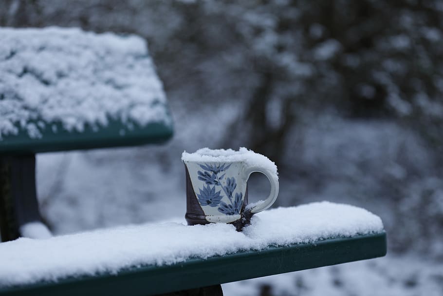 wintry, cup, bank, coffee break, nature, outdoor, rest, book HD wallpaper