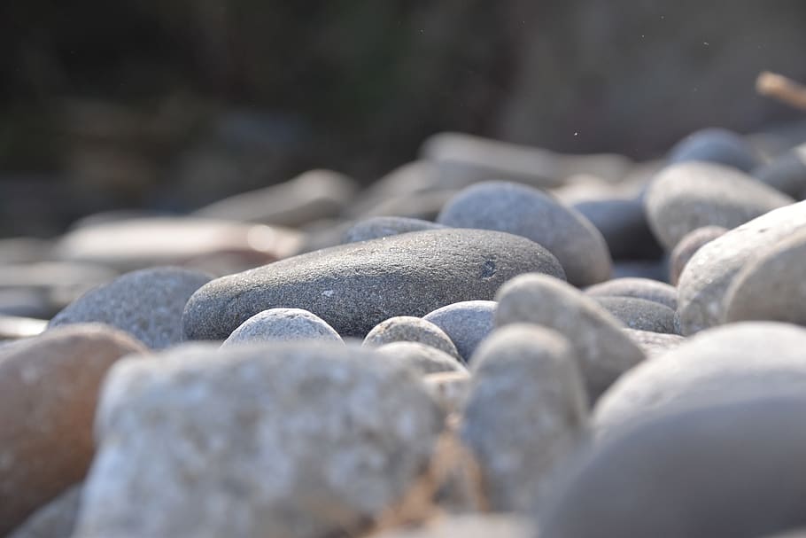 roller, beach, corsican, wild, selective focus, solid, close-up HD wallpaper