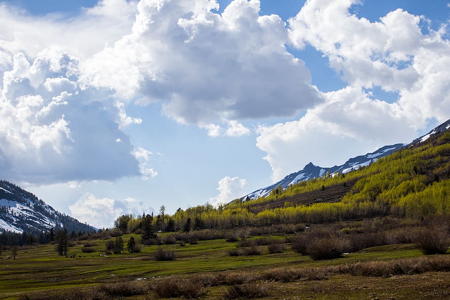 peak, mountain, trees, snow, clouds, cloud - sky, scenics - nature HD wallpaper