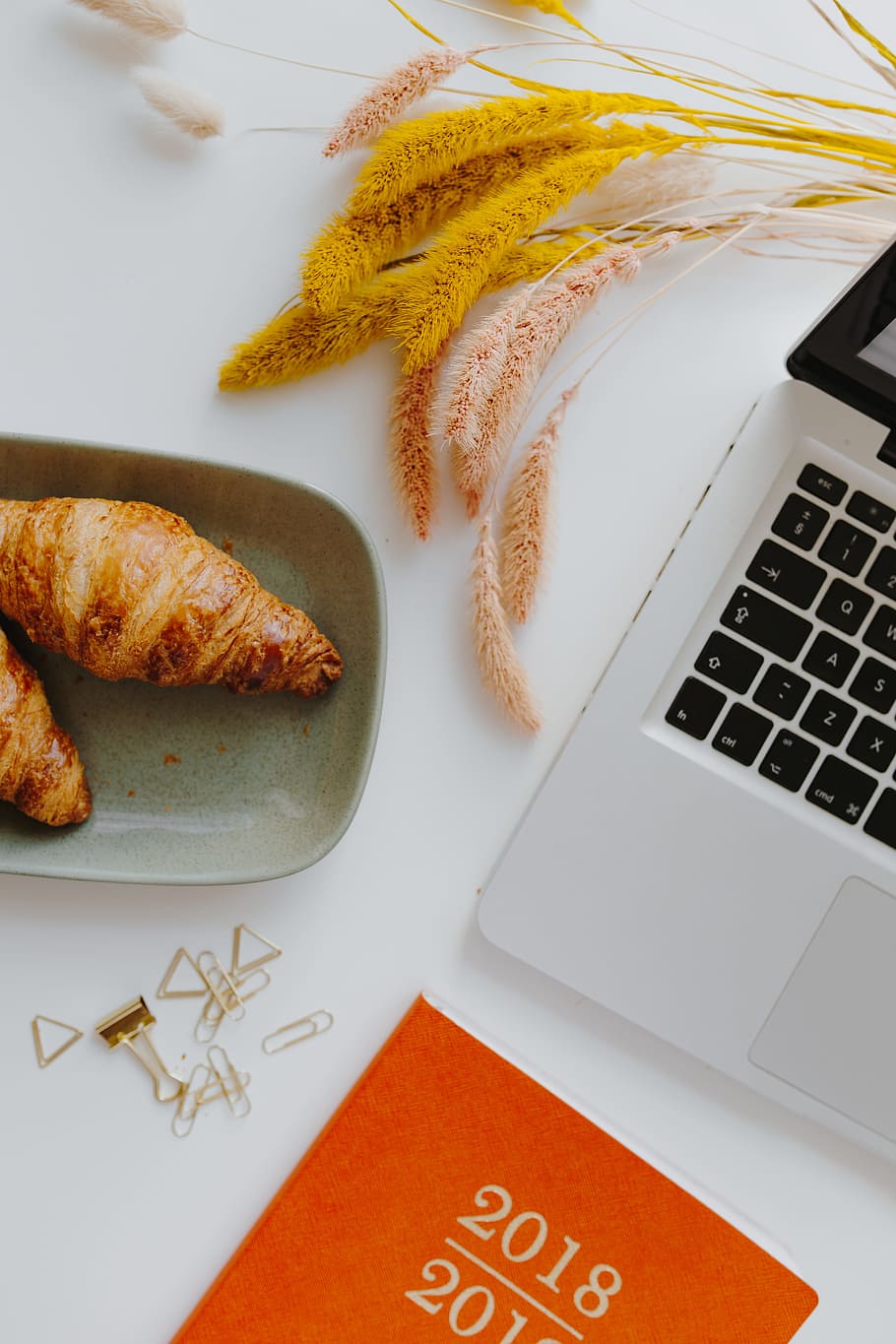 Female desk with orange notebook and pumpkins, laptop, computer HD wallpaper