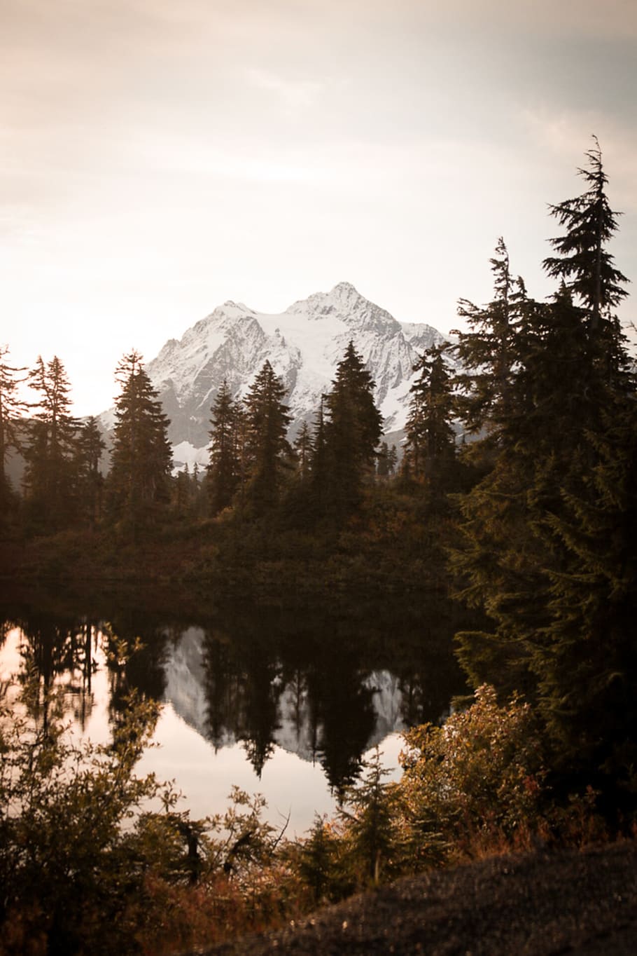 snow covered mountain, water, tree, forest, woodland, lake, reflection HD wallpaper