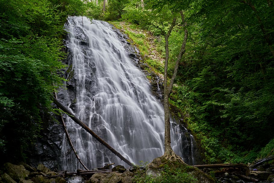 Waterfalls in Between Green Trees, cascade, environment, flow HD wallpaper