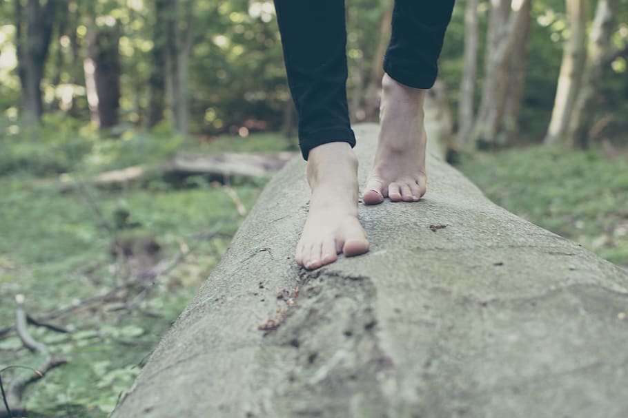 person walking on branch, tree, forest, land, body part, plant HD wallpaper