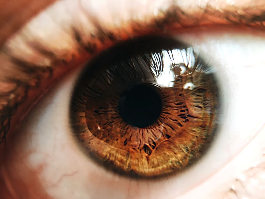 eye, vibrant, macro, close up, brown, reflection, depth, eyesight HD wallpaper