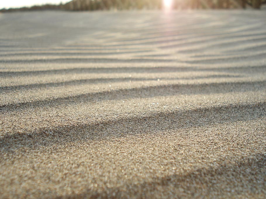 sunlight, nature, no people, land, day, pattern, sand, beach HD wallpaper