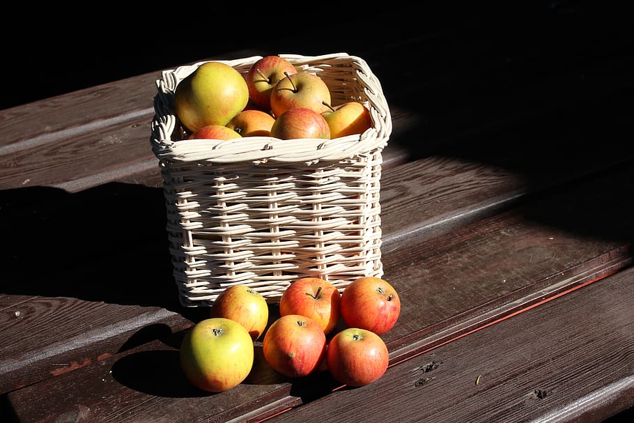 apples, collections, fall, autumn, fruit, vitamins, healthy HD wallpaper