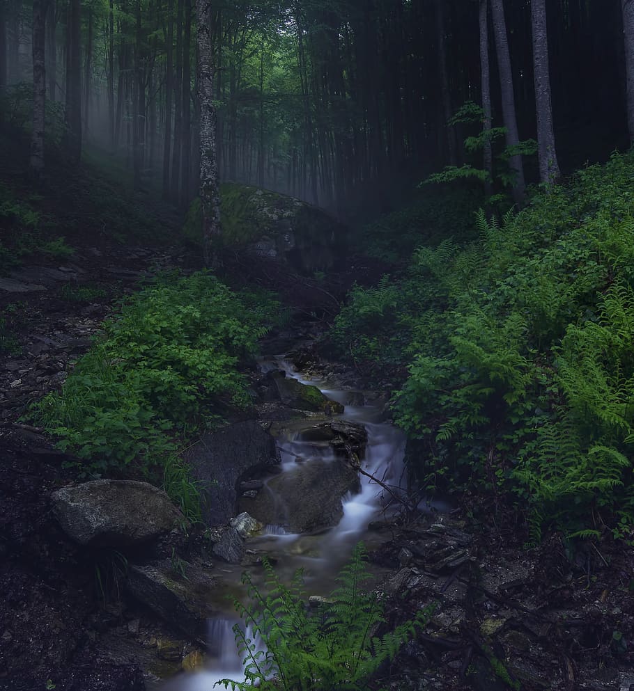 spring, mountains, nature, landscape, travel, sky, clouds, forest HD wallpaper