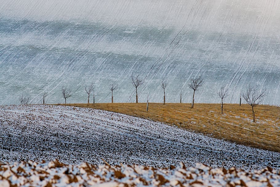 detail, winter, environment, environmental conservation, land HD wallpaper